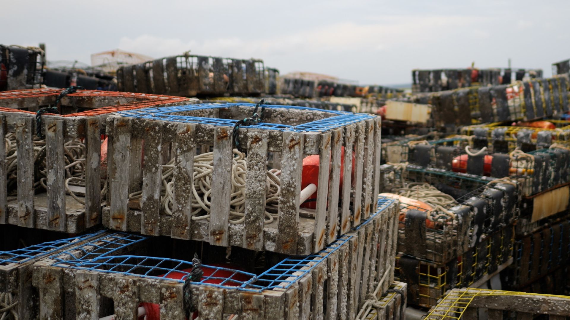 Chincoteague Island, VA